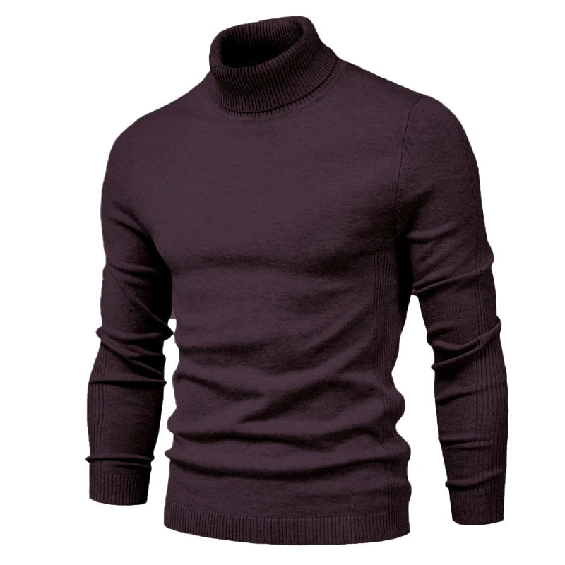 Sanford - Modischer Pullover mit kleinem Rollkragen